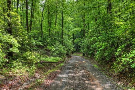 636 Bear Paw Trail Blue Ridge GA 30513