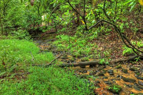 636 Bear Paw Trail Blue Ridge GA 30513