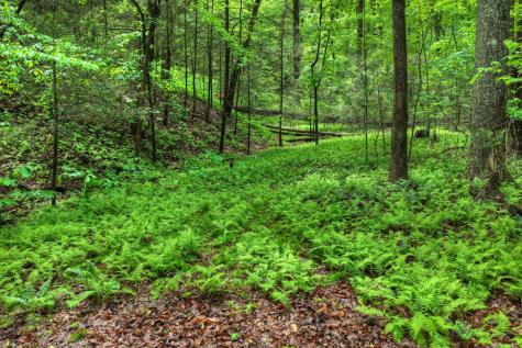 636 Bear Paw Trail Blue Ridge GA 30513
