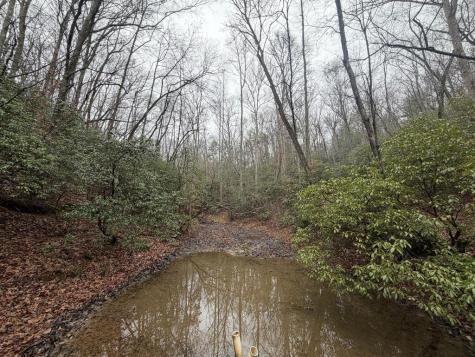 636 Bear Paw Trail Blue Ridge GA 30513