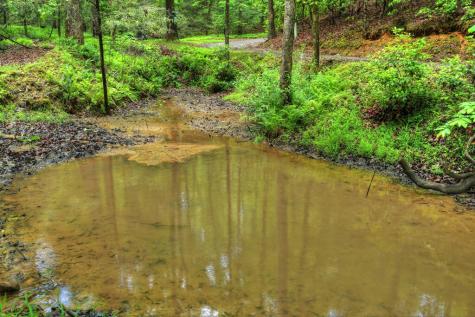 636 Bear Paw Trail Blue Ridge GA 30513