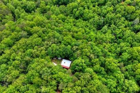 636 Bear Paw Trail Blue Ridge GA 30513