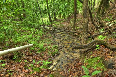636 Bear Paw Trail Blue Ridge GA 30513