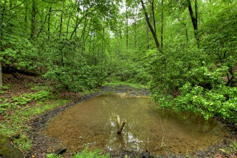636 Bear Paw Trail Blue Ridge GA 30513