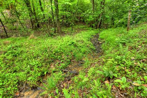 636 Bear Paw Trail Blue Ridge GA 30513