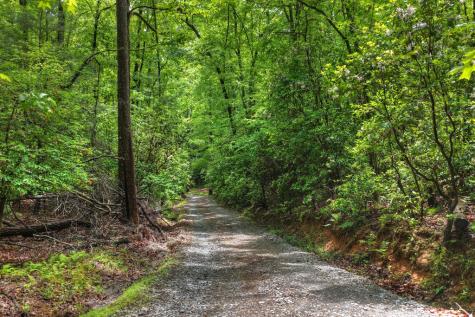 636 Bear Paw Trail Blue Ridge GA 30513