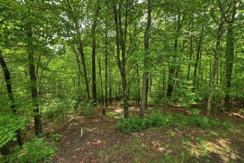 636 Bear Paw Trail Blue Ridge GA 30513