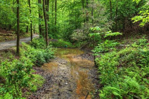 636 Bear Paw Trail Blue Ridge GA 30513