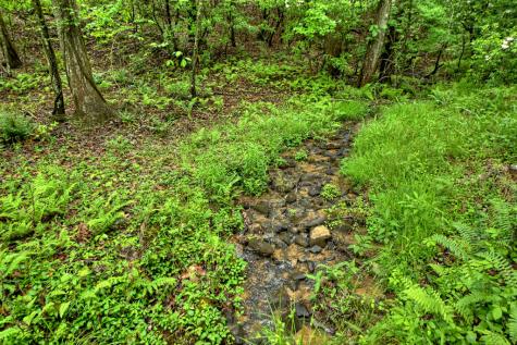 636 Bear Paw Trail Blue Ridge GA 30513