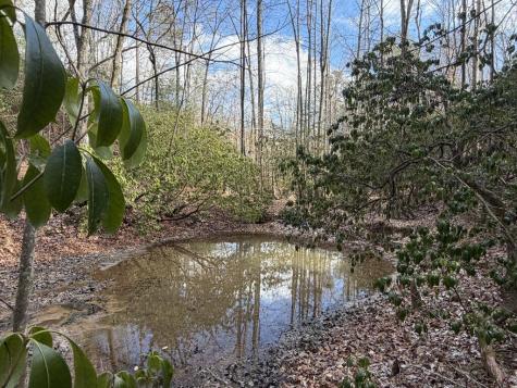 636 Bear Paw Trail Blue Ridge GA 30513