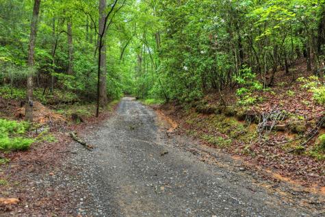 636 Bear Paw Trail Blue Ridge GA 30513