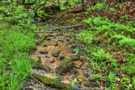 636 Bear Paw Trail Blue Ridge GA 30513