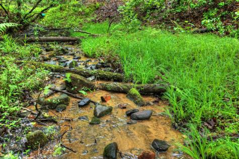 636 Bear Paw Trail Blue Ridge GA 30513