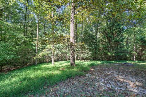 2108 Blackberry Mountain Road Ellijay GA 30536