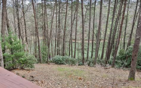 60 Clubhouse Court Ellijay GA 30536