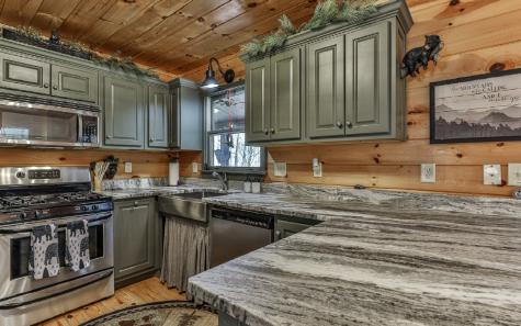 60 Clubhouse Court Ellijay GA 30536