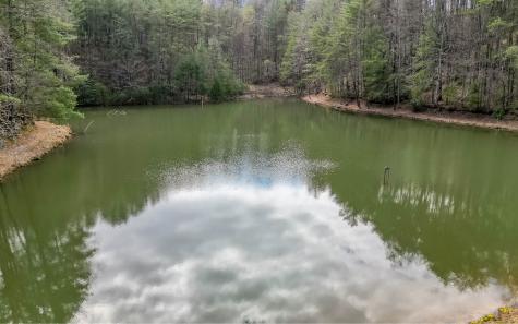 60 Clubhouse Court Ellijay GA 30536