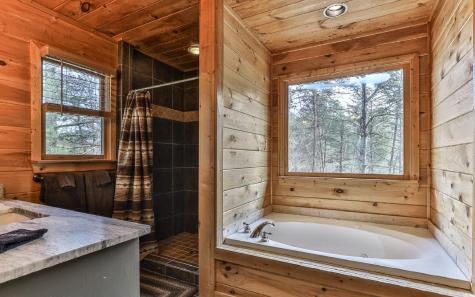 60 Clubhouse Court Ellijay GA 30536