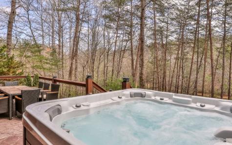60 Clubhouse Court Ellijay GA 30536