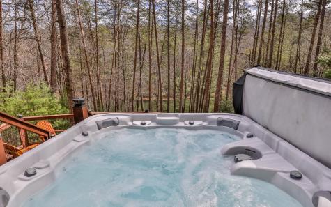 60 Clubhouse Court Ellijay GA 30536