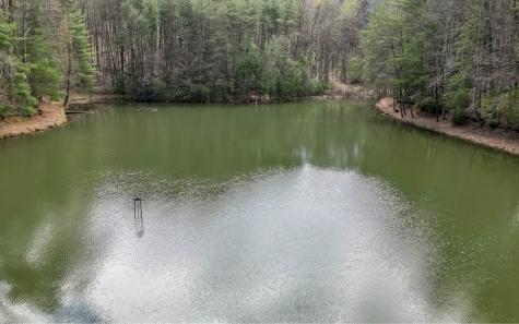 60 Clubhouse Court Ellijay GA 30536