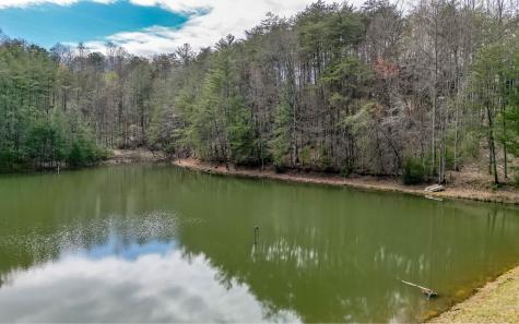60 Clubhouse Court Ellijay GA 30536