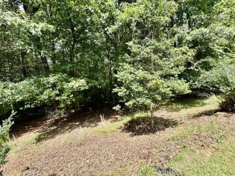 485 Fern Valley Lane Blairsville GA 30512