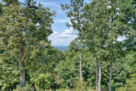 310 Hickory Fork Blairsville GA 30512