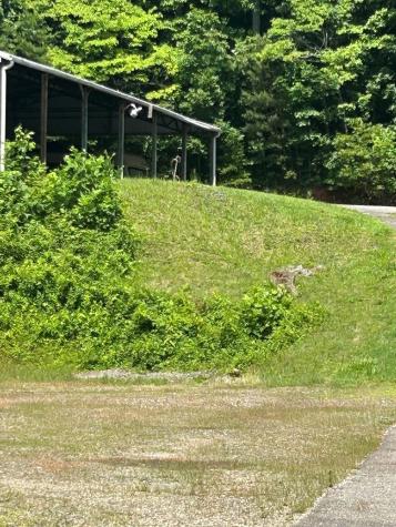 2936 Highway 175 Hayesville NC 20894