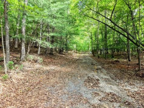 121 Laurel Ridge Morganton GA 30560
