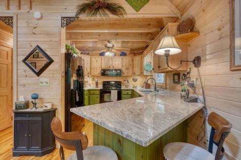 121 Laurel Ridge Morganton GA 30560