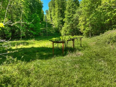 352 Messer Drive Copperhill TN 37317