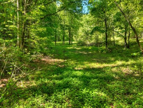 352 Messer Drive Copperhill TN 37317