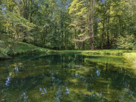 250 Mccollum Road Ellijay GA 30540