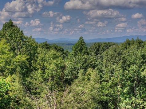 8 North Face Drive Blue Ridge GA 30513