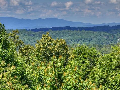 8 North Face Drive Blue Ridge GA 30513