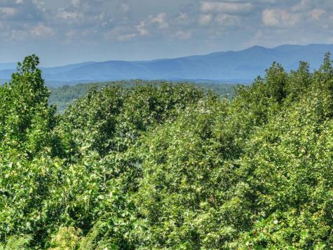 8 North Face Drive Blue Ridge GA 30513