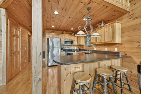 8 North Face Drive Blue Ridge GA 30513