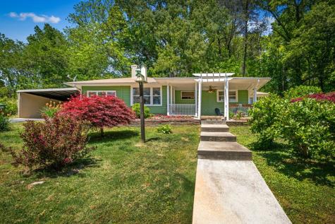 1211 Scenic Drive Blue Ridge GA 30513