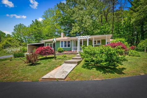 1211 Scenic Drive Blue Ridge GA 30513