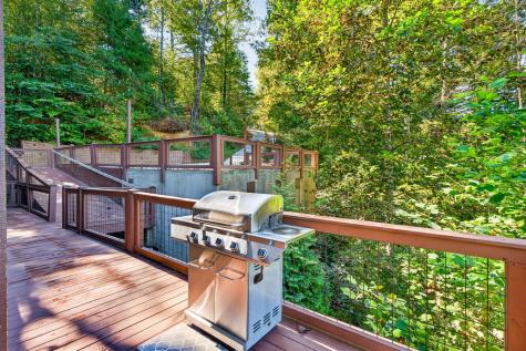 800 Mango Lane Ellijay GA 30540