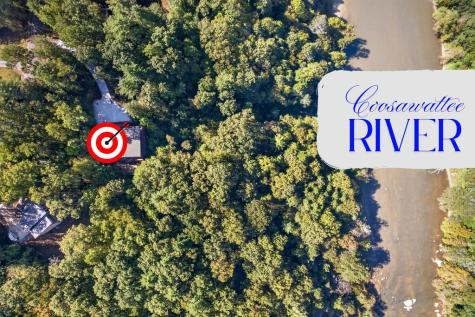 800 Mango Lane Ellijay GA 30540