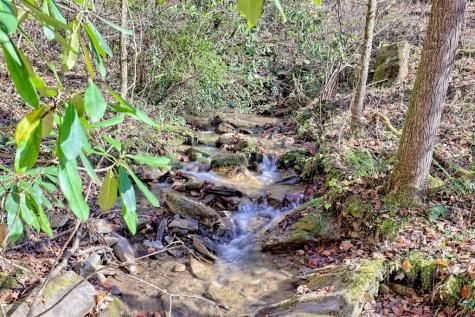 1307 Clear Creek Road Hayesville NC 28904