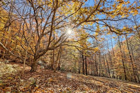 1307 Clear Creek Road Hayesville NC 28904