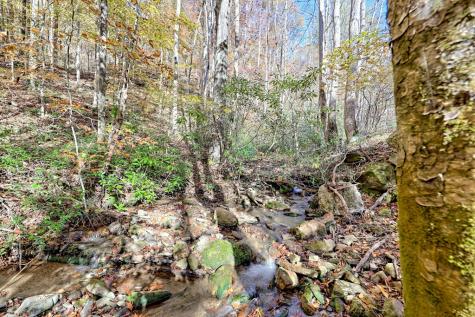 1307 Clear Creek Road Hayesville NC 28904