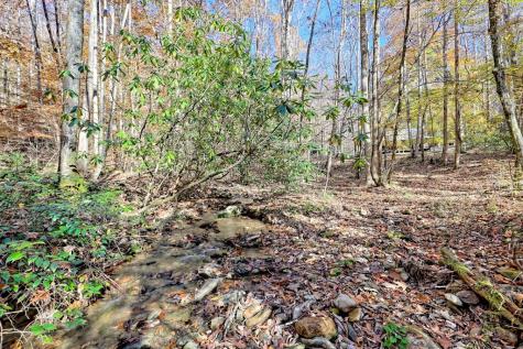 1307 Clear Creek Road Hayesville NC 28904