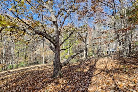 1307 Clear Creek Road Hayesville NC 28904