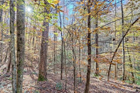 1307 Clear Creek Road Hayesville NC 28904