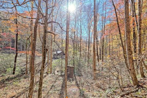 1307 Clear Creek Road Hayesville NC 28904