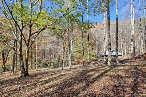 1307 Clear Creek Road Hayesville NC 28904